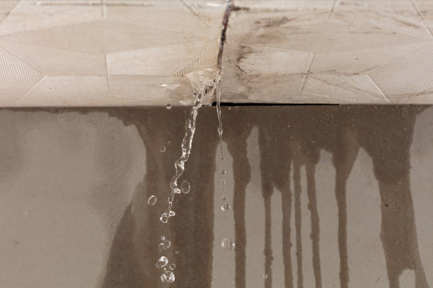 Professional Commercial Water Damage Restoration technician working in Maury City, TN